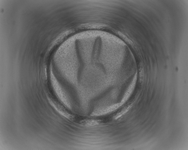 X0000080810254200701051157