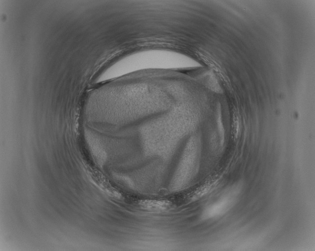 X0000080810255200701051157