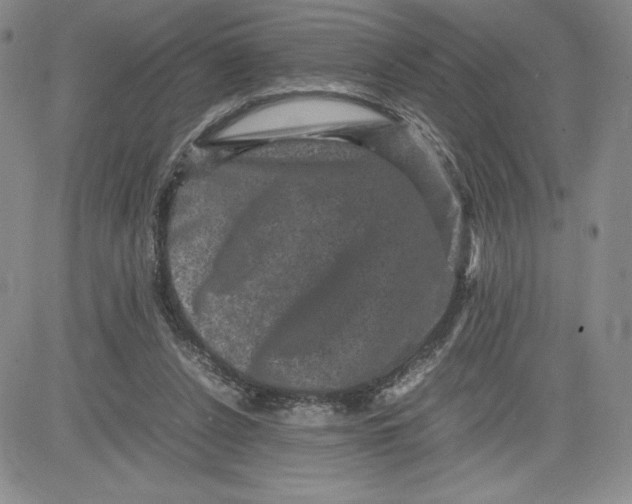 X0000080810256200701051157