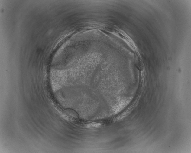 X0000080810257200701051157