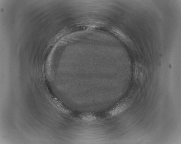 X0000080810258200701051157