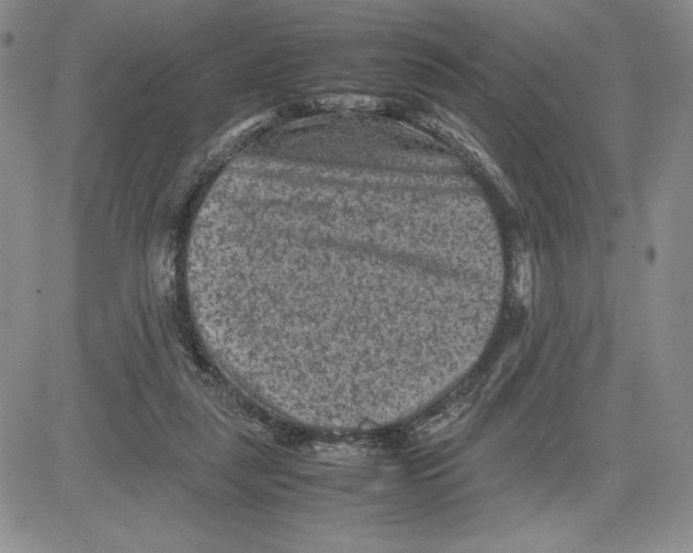 X0000080810259200701051157