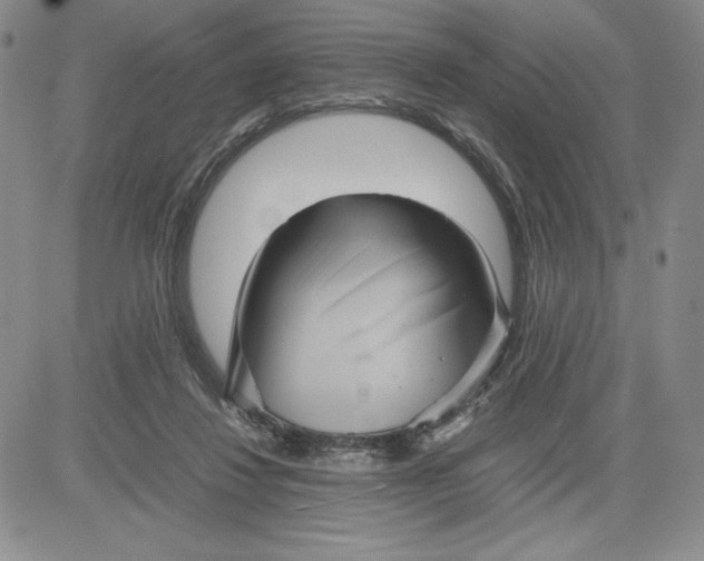 X0000080810260200701051157