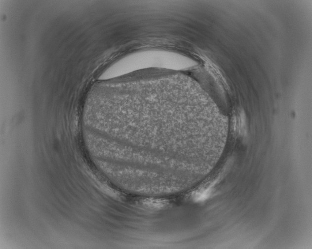 X0000080810261200701051157