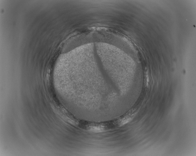 X0000080810263200701051157