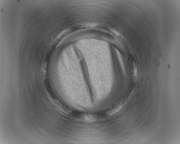 X0000080810264200701051157