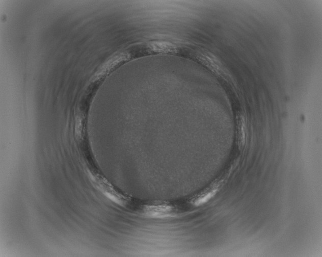 X0000080810266200701051157