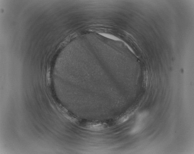 X0000080810267200701051157