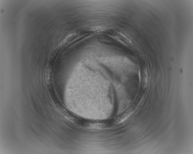 X0000080810268200701051157