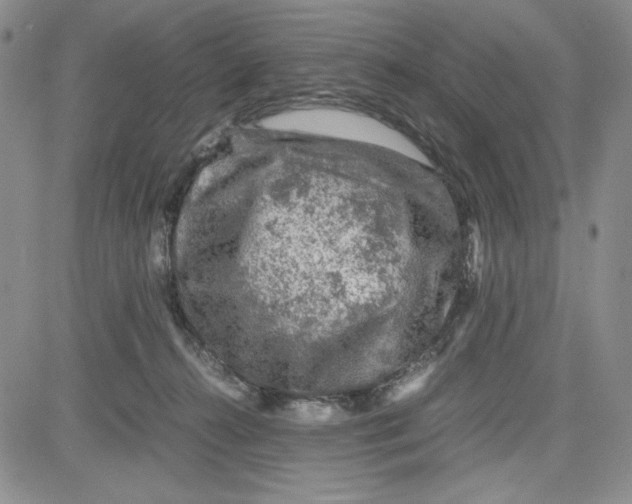 X0000080810272200701051157