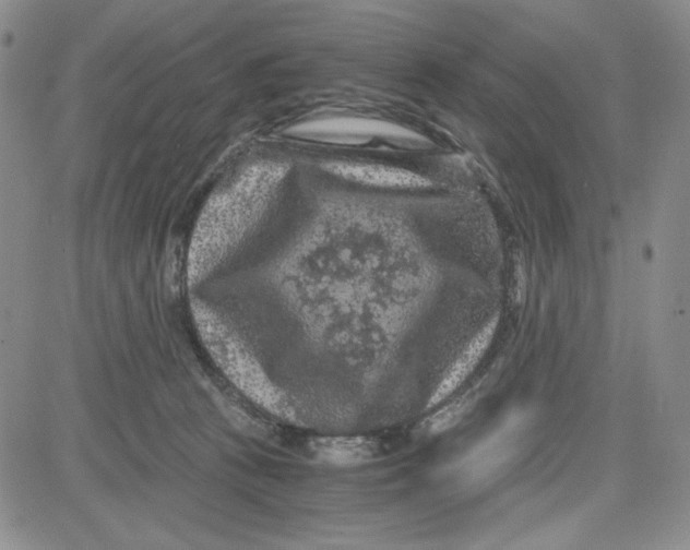 X0000080810273200701051157