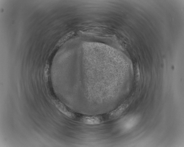 X0000080810275200701051157