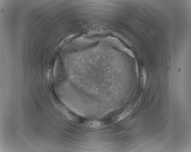 X0000080810276200701051157