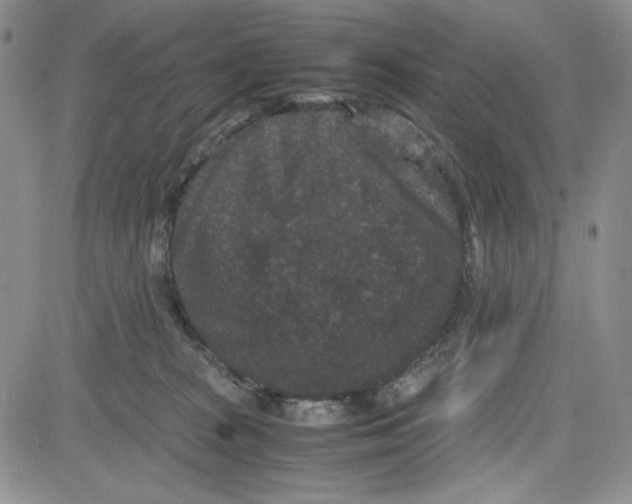 X0000080810277200701051157