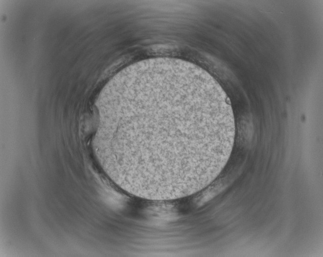 X0000080810278200701051157