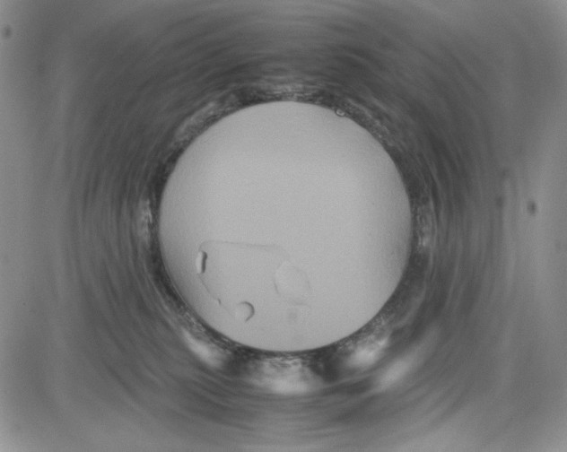 X0000080810279200701051158