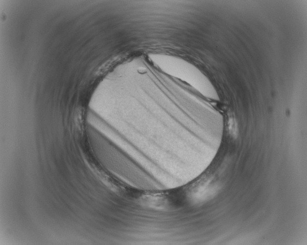 X0000080810280200701051158