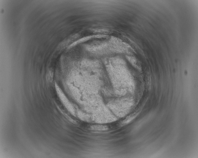 X0000080810281200701051158