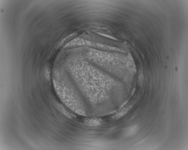 X0000080810282200701051158