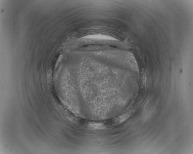 X0000080810283200701051158