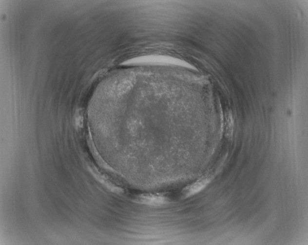 X0000080810284200701051158