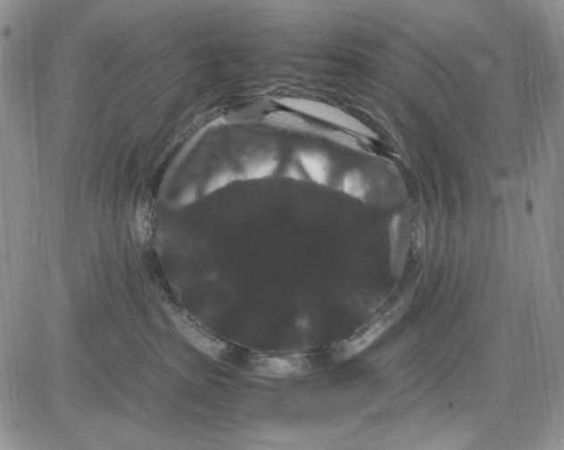 X0000080810285200701051158