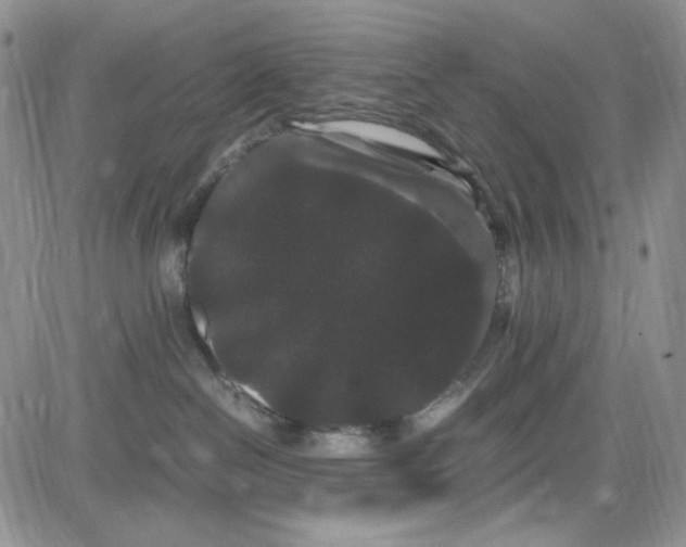 X0000080810286200701051158