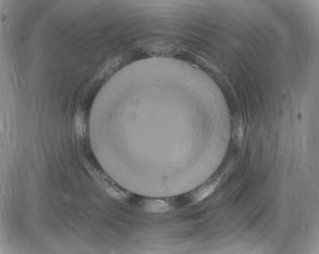 X0000080810287200701051158