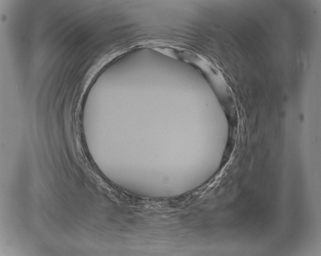 X0000080810289200701051157