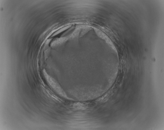 X0000080810290200701051157