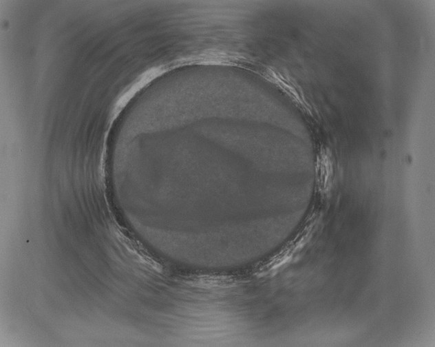 X0000080810292200701051157