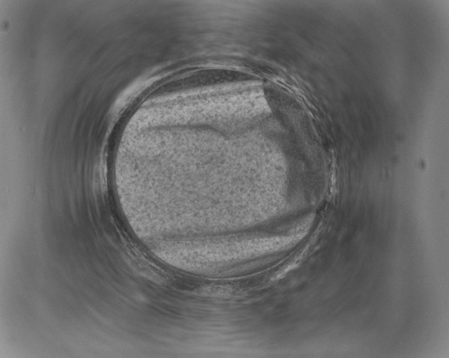 X0000080810294200701051157