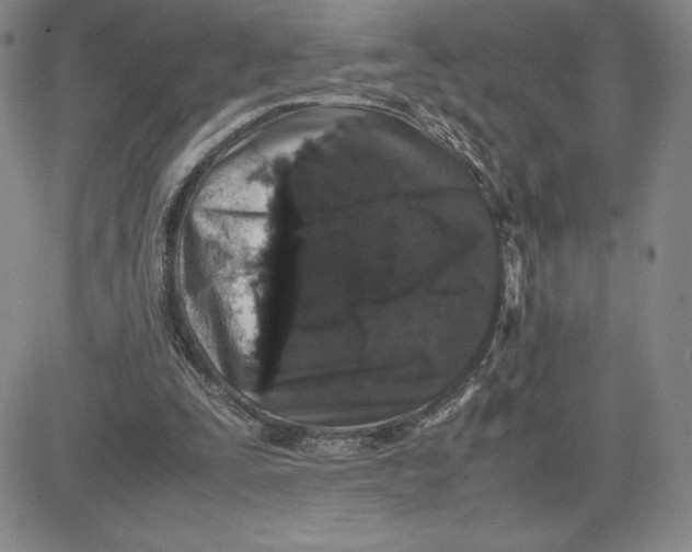 X0000080810295200701051157