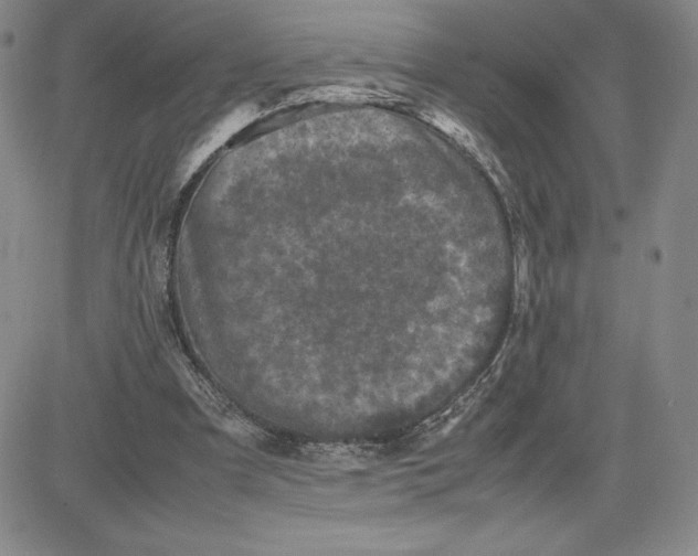 X0000080810297200701051157