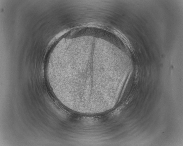 X0000080810298200701051157