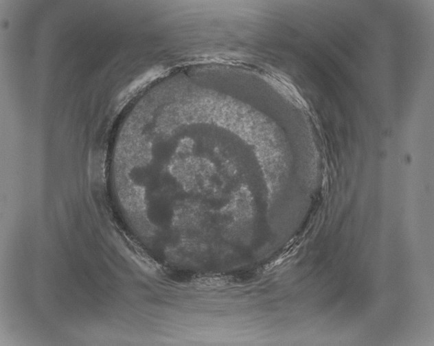 X0000080810299200701051157