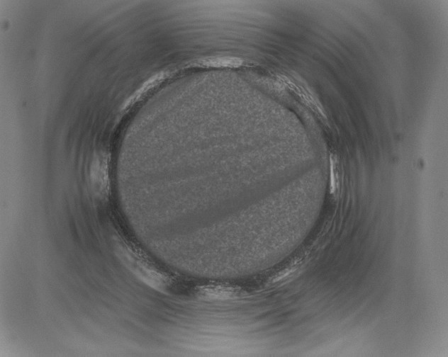 X0000080810300200701051157