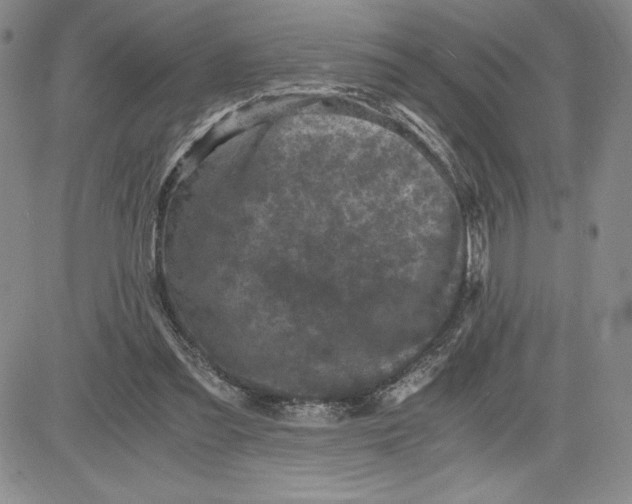 X0000080810301200701051157