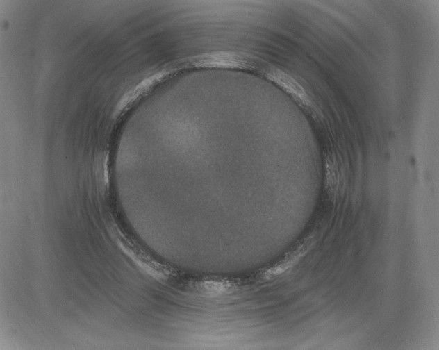 X0000080810302200701051157