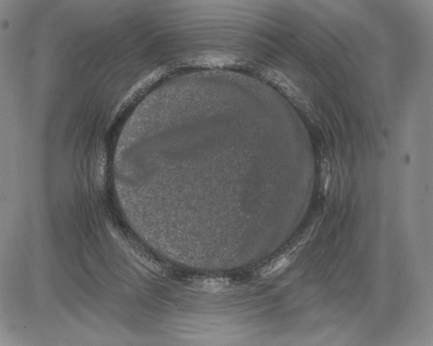 X0000080810304200701051157