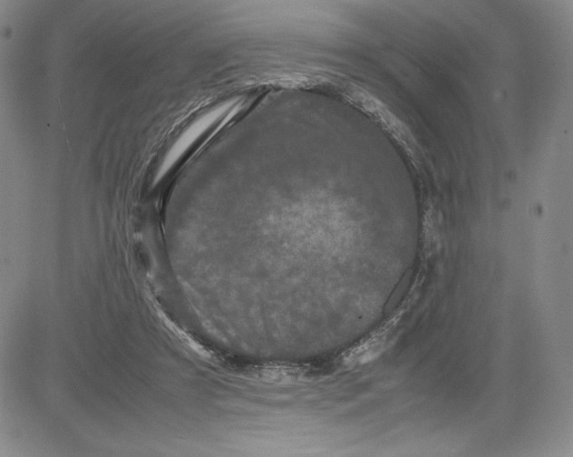 X0000080810305200701051157