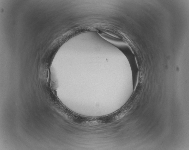 X0000080810307200701051157