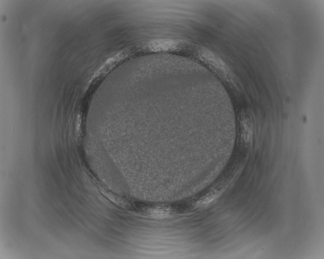 X0000080810308200701051157