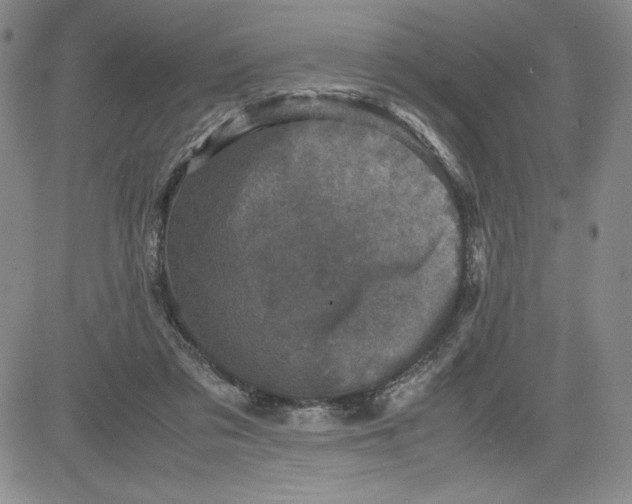 X0000080810309200701051157