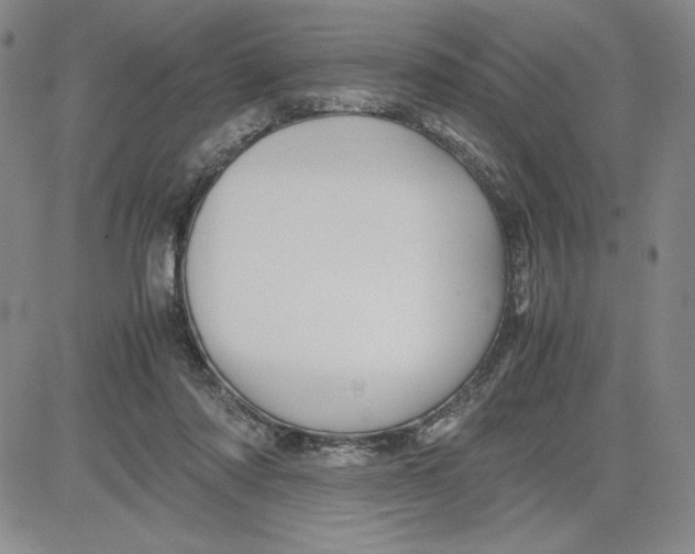 X0000080810310200701051157