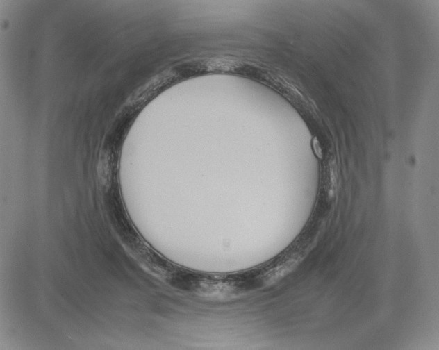 X0000080810311200701051157