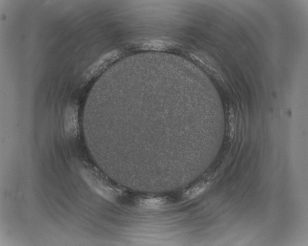 X0000080810312200701051157