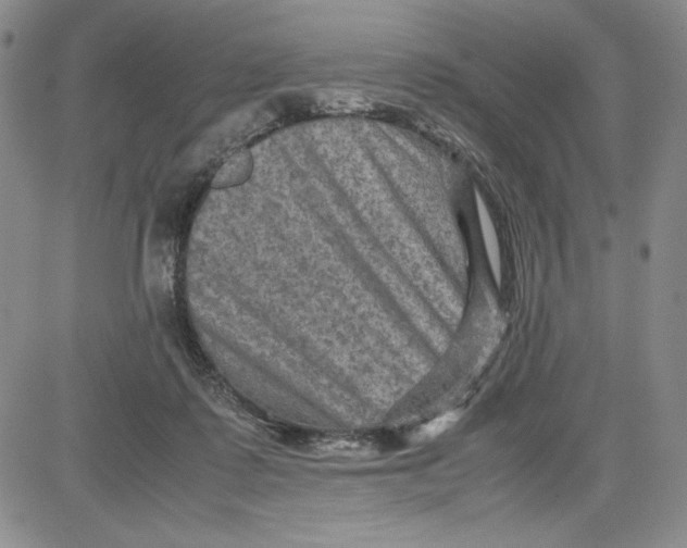 X0000080810315200701051156