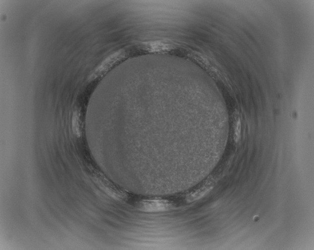 X0000080810316200701051156