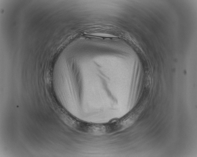 X0000080810317200701051156